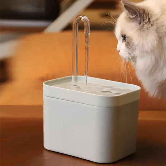 Chat buvant de l’eau dans une fontaine automatique