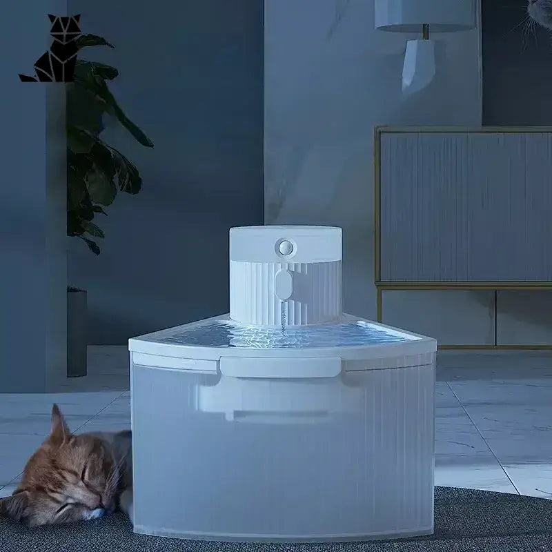 Chat couché à côté d’une fontaine d’eau fraîche pour animaux, dégustant du deau fraîche
