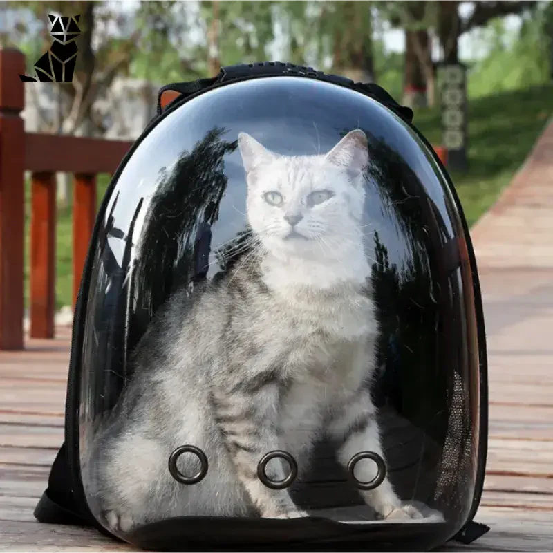 Chat assis dans un casque sur une table en bois dans un sac à dos transparent pour animaux de compagnie