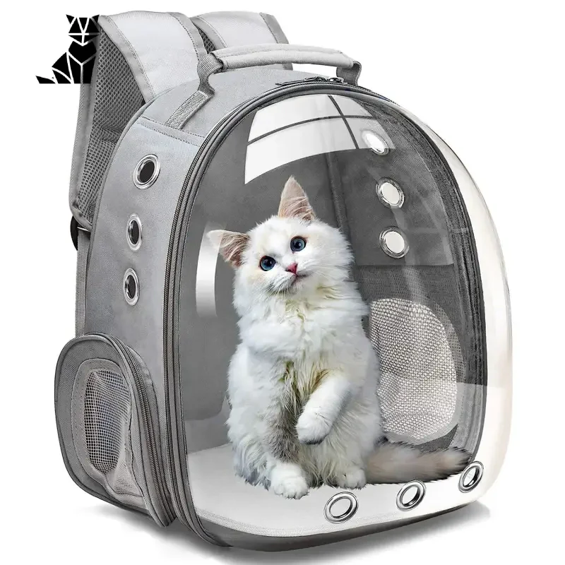 Chat vêtu d’un sac Astronaut Bubble Bag : vue panoramique et sécurité renforcée pour chats
